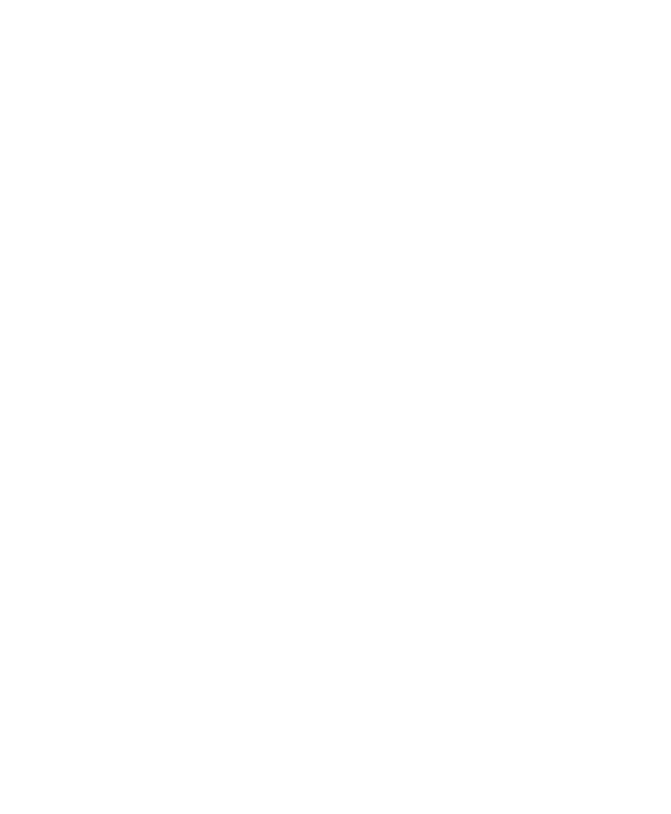 Rain Tunnel Wash