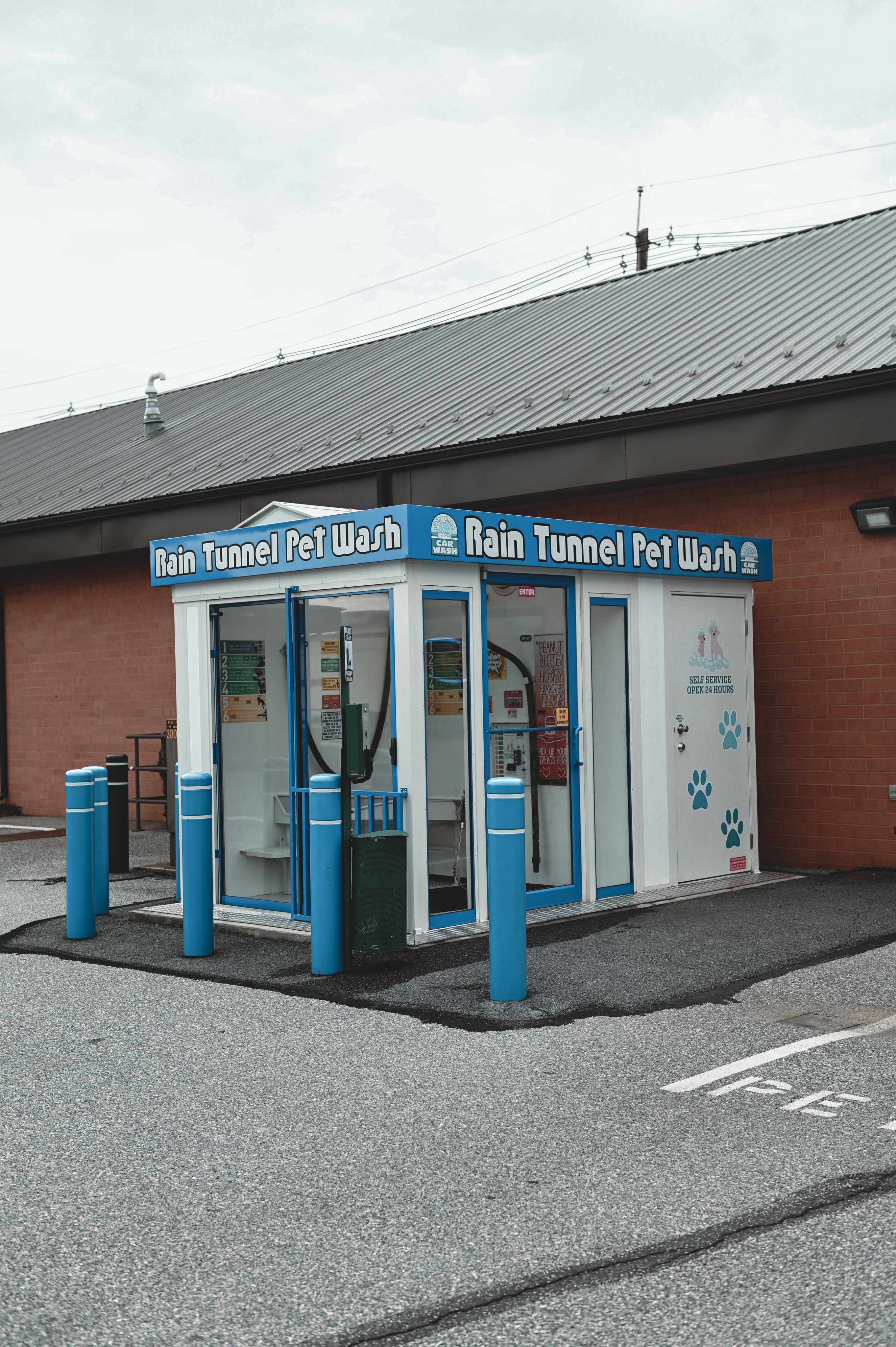 Pet Wash